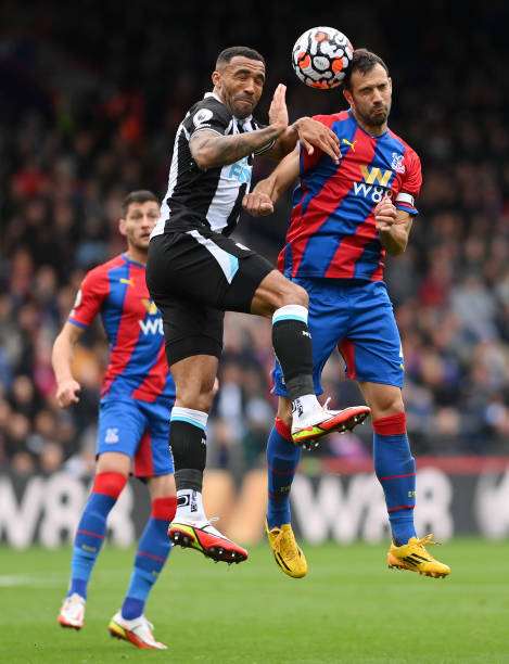 起了极大的 起了极大的